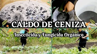 Caldo de Ceniza (Insecticida y Fungicida Orgánico)