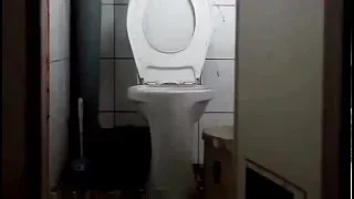 If you throw a firecracker in the toilet/Если кинуть петарду в туалет
