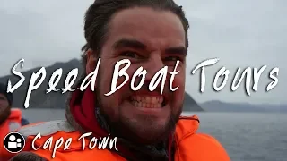 Action packed Boat ride to seal island in Hout Bay | Cape Town