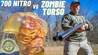 700 NITRO vs ZOMBIE TORSO 🧟‍♂️ (World’s Biggest Elephant Gun)