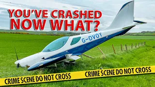 You SURVIVED the plane crash! You won't believe what happens next!