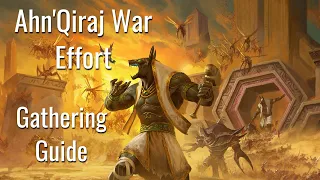 WoW Classic-----Ahn'Qiraj War Effort Gathering Guide for Horde and Alliance