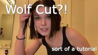 Cutting My Hair (Wolf Cut/Shag?!)