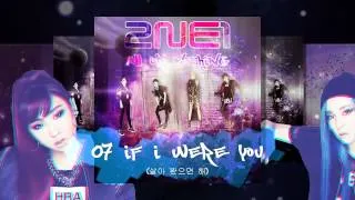 [AON] 07. If I Were You (살아 봤으면 해) [2NE1 - 2014 2NE1 World Tour Live - All Or Nothing In Seoul]