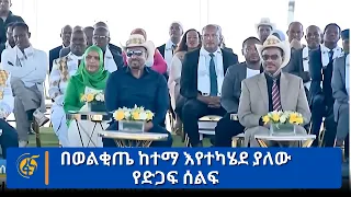 በወልቂጤ ከተማ እየተካሄደ ያለው የድጋፍ ሰልፍ