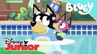 Bluey: Juegos con papá | Disney Junior Oficial