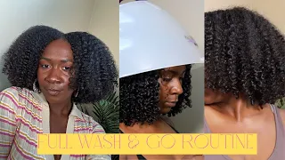 Curls That Last! My Wash & Go Routine | Defined and Juicy Frizz Free | Nia Imani