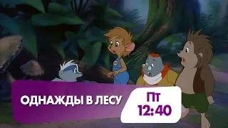 "Однажды в лесу" сегодня на НТК!