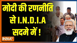 MP Election 2023 - मोदी की रणनीति से I.N.D.I.A सदमे में ! Jyotiraditya Scindia | India TV