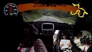 Camera car 41º Rally Team 971 2014 Vincitori Assoluti Cantamessa Bollito Peugeot Super 2000