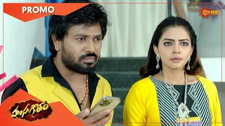 Hamsageetham - Promo | 18 June 2022 | Telugu Serial | Gemini TV