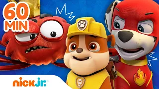 ¡Los MÁS GRANDES rescates de la Patrulla de Cachorros! 🙀 | Nick Jr. en Español