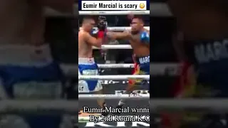 Eumir Marcial destroys his opponent in round 2
