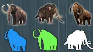 CUTE ANIMALS Mammoth Elephant Puzzle (Choose The Right Elephant Puzzle)#elephant #mammoth