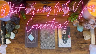 What's Going On In This Connection? 🤔😘💛 (Pick A Card) 💛 **Timeless & In-Depth Tarot Reading**