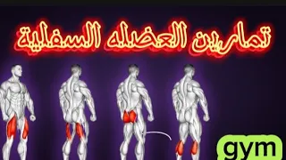 أسرار بناء عضلات سفلية ضخمة في أسرع وقت!**