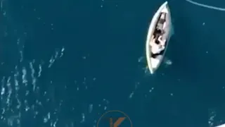 В Анапе спасли мужчину и мальчика, которых унесло на надувной лодке в море