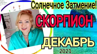 ПОЛНОЛУНИЕ 19 ДЕКАБРЯ 2021🔴СКОРПИОН ГОРОСКОП на ДЕКАБРЬ 2021🔴РЕТРОГРАДНАЯ ВЕНЕРА с 19.12-29.01.2022