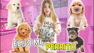 ELIGIENDO MI NUEVO PERRITO 🐶 ADOPTO UNA NUEVA MASCOTA BEBÉ / Daniela Go