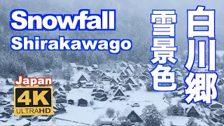 4K Snowfal of Shirakawago 白川郷の雪景色 2021 観光 日本の原風景 冬景色 降雪 Japan winter Snow scene 豪雪 観光 旅行