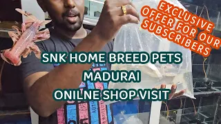 🐠[த] SNK HOME BREED PETS, Madurai - Online Shop Visit with exclusive offer for our subscribers