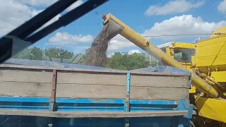 Ціни капець. Потрібно косити .