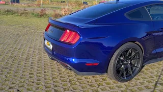 Ford Mustang GT mk6 5.0 V8 • exhaust sound • active rear mufflers • Bee Faster
