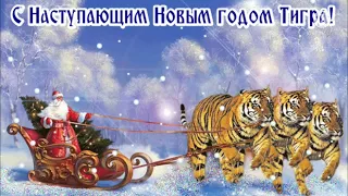 С наступающим Новым годом Тигра! Красивое зажигательное поздравление открытка