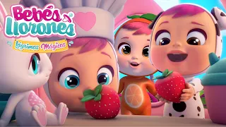 BEBÉS TUTTI FRUTTI 🍓💜 LÁGRIMAS MÁGICAS 💧 | DIBUJOS ANIMADOS en ESPAÑOL | ¡Divertido y educativo!