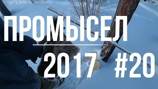 Промысел 2017   #20  Иду по путику, палю лайфхак хаха ))