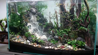 j'ai crée une cascade dans un aquarium de 90 litres