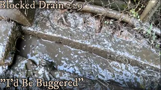 Blocked Drain 229 - Unbelievable, How Has This Drain Been Working For 26 Years?