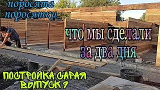 Стройка сарая . Выпуск 9. Клетки для свиней из дерева. Сарай своими руками из деревянных шпал.