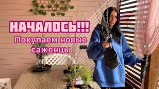 Новые РАСТЕНИЯ для молодого сада! Ландшафтный дизайн своими руками!