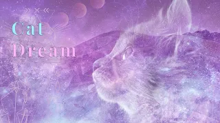 Dream Of CATS? 🐱  YOUR SECRET Spiritual Message 💖 |COLLAB WITH @Auntyflo  💗