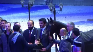 Memories of Paris 2017 - Part 10 - Gazal Al Shaqab