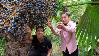 Harvesting Palm Fruits, Processing and Selling at Market, Digging Cassava Roots to Feed Pigs