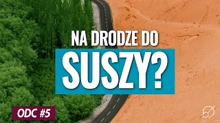 Jak szybko wysycha nam Polska?