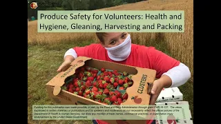 Food Safety for Volunteers: Health and Hygiene, Gleaning, Harvesting and Packing