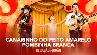 CANARINHO DO PEITO AMARELO / POMBINHA BRANCA - Di Paullo & Paulino - Geração Modão (Pot-Pourri)