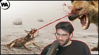 HasanAbi reacts to Fatal Ways Animals Protect Themselves