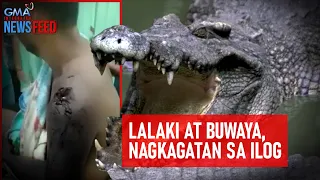 Lalaki at buwaya, nagkagatan sa ilog | GMA Integrated Newsfeed