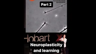 Pt 2: NEUROPLASTICITY & LEARNING - 6 secrets to learning faster, backed by neuroscience