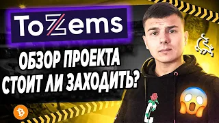 Tozems обзор проекта. Стоит ли заходить? Мой отзыв