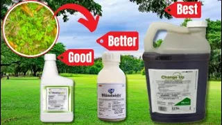 3 Weed Killers to Kill a Tough Weed Without Killing the Grass