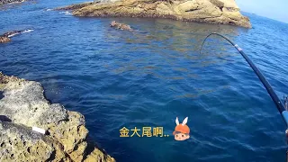 大坪海岸 釣況分享 Wild fishing in Taiwan. [嘟嘟釣魚狂#233] 2023/09/18