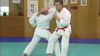 Funakoshi's Nine Throws