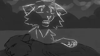 Confrontation Unfinished Warrior Cats OC Storyboard