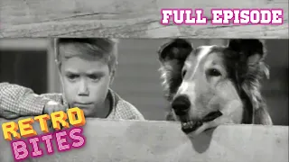 Lassie | Our Gal | Full Episodes  🐕
