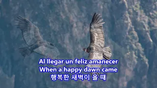 El Condor Pasa(The condor is passing by)-Plácido Domingo:with Lyrics(Spanish/English/가사번역)||철새는 날아가고